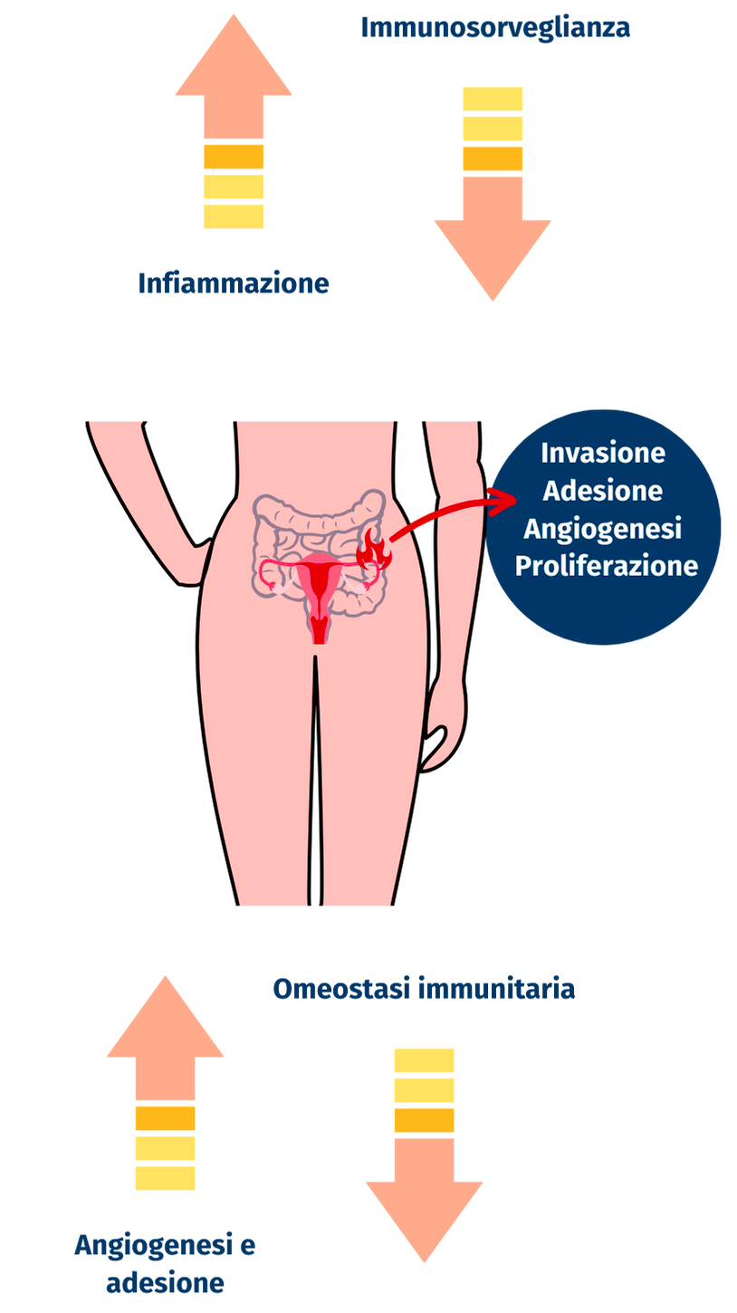 microbiota intestinale nell' endometriosi